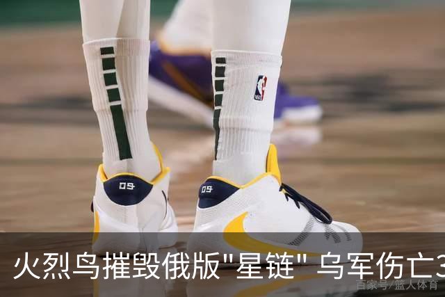 火烈鸟摧毁俄版"星链" 乌军伤亡30倍于俄罗斯？